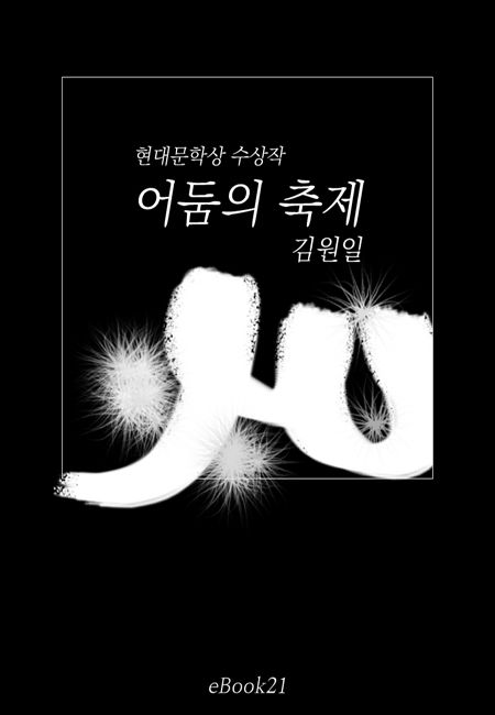 어둠의 축제(현대문학상 수상) : 김원일 장편소설